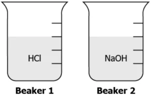 cbe-science-10-ch-2-q-10
