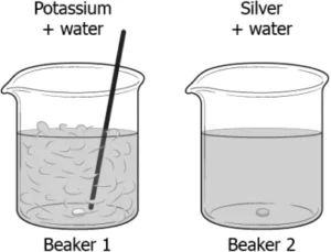 cbe-science-10-ch-3-q-10
