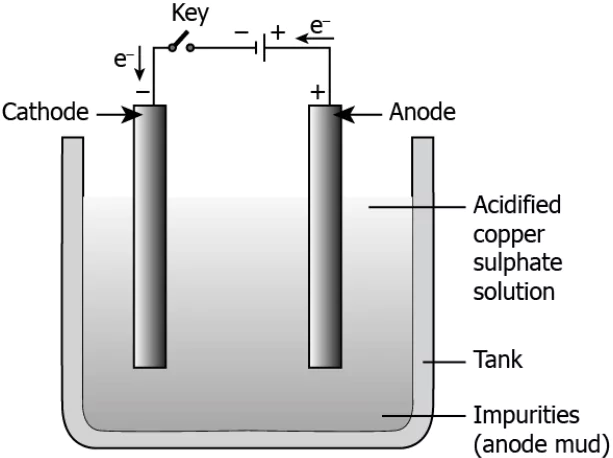 cbe-science-10-ch-3-q-19