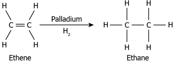 cbe-science-10-ch-4-q-18