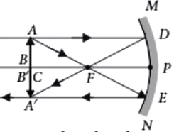 case-study-science-10-chapter-9-q6-i-ans