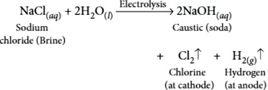 assertion-reason-science-ch-02-q12-ans