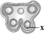 case-study-biology-12-ch-01-q2-iii