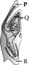 case-study-biology-12-ch-01-q4-ii
