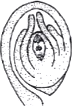 case-study-biology-12-ch-01-q5-ii