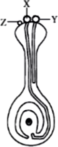 case-study-biology-12-ch-01-q7