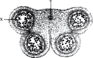 case-study-biology-12-ch-01-q8