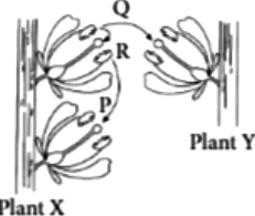 case-study-biology-12-ch-01-q9