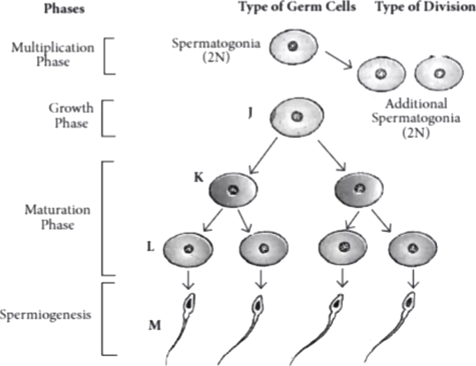 case-study-biology-12-ch-02-q10