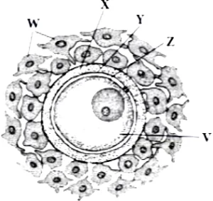 case-study-biology-12-ch-02-q3
