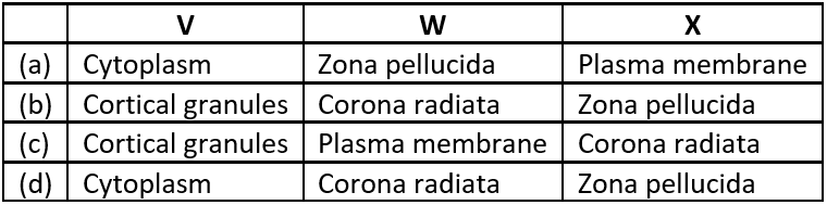 case-study-biology-12-ch-02-q3-iv