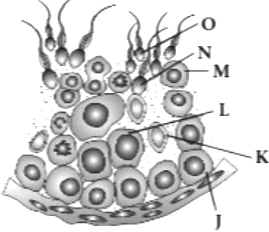 case-study-biology-12-ch-02-q4