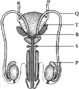 case-study-biology-12-ch-02-q6