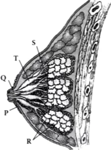 case-study-biology-12-ch-02-q9
