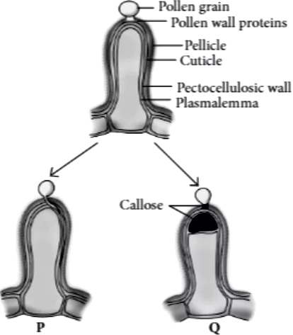 case-study-biology-ch-01-q10-v