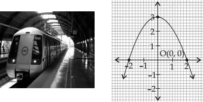 case-study-maths-class-10-ch-2-q-2