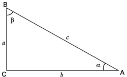 case-study-maths-class-10-ch-8-Q13
