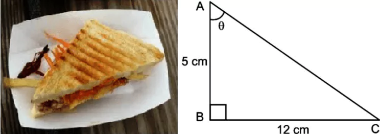 case-study-maths-class-10-ch-8-Q3