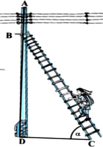 case-study-maths-class-10-ch-8-Q7
