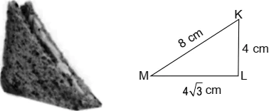 case-study-maths-class-10-ch-8-Q8