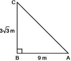 case-study-maths-class-10-ch-8-q14
