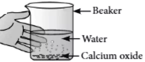 case-study-science-10-ch-01-q-2-iii