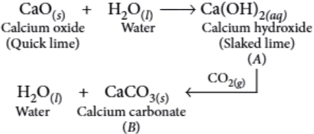 case-study-science-10-ch-01-q-2-iv-ans