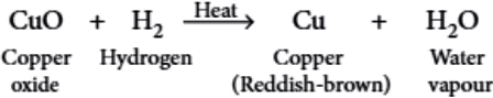 case-study-science-10-ch-01-q-3-iii-ans