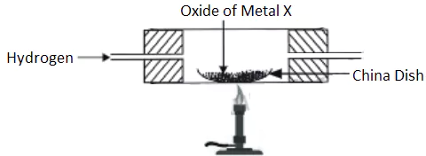 case-study-science-10-ch-01-q-3-iii