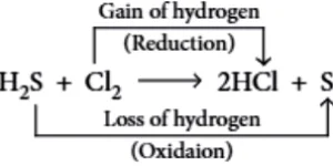 case-study-science-10-ch-01-q-5-ii-ans
