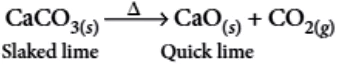 case-study-science-10-ch-01-q-5-iii-ans