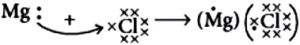 case-study-science-10-ch-03-q-01-iii-b