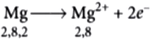 case-study-science-10-ch-03-q-1-iii-ans-1