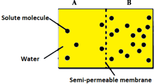 case-study-science-10-ch-06-Q-01-v