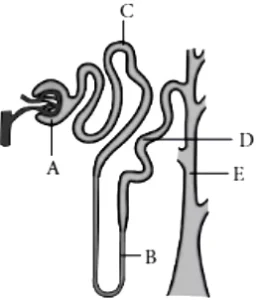 case-study-science-10-ch-06-Q-03-v