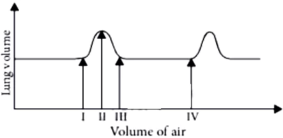 case-study-science-10-ch-06-Q-05-ii