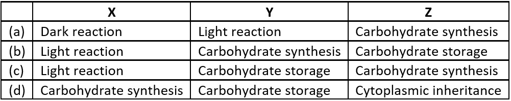 case-study-science-10-ch-06-Q-06-iv-table