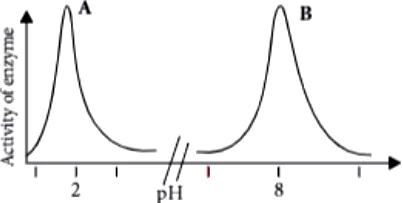 case-study-science-10-ch-06-Q-07-iv