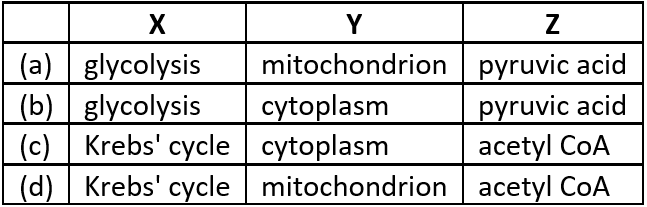 case-study-science-10-ch-06-Q-08-ii