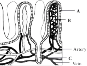 case-study-science-10-ch-06-Q-10-v