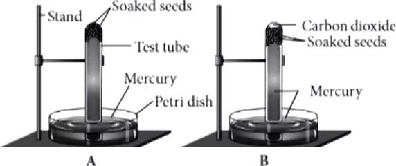 case-study-science-10-ch-06-Q-11