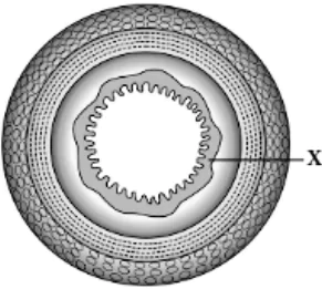 case-study-science-10-ch-06-Q-12-ii