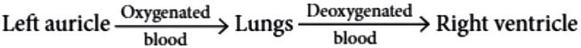 case-study-science-10-ch-06-Q-13-v-b