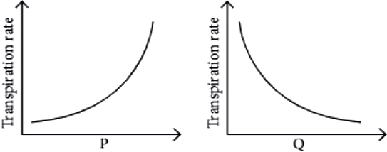 case-study-science-10-ch-06-Q-14-v
