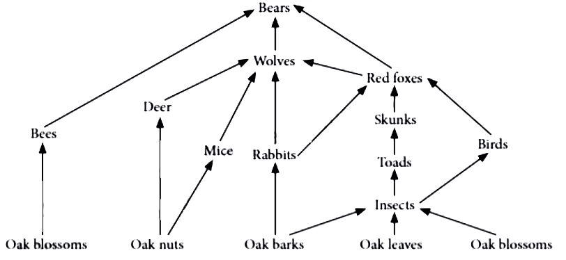 case-study-science-10-ch-13-q-15