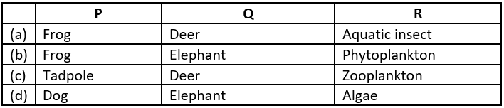 case-study-science-10-ch-13-q-5-1-table