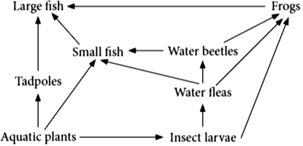 case-study-science-10-ch-13-q-8-i