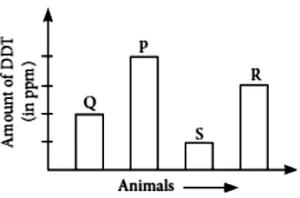 case-study-science-10-ch-13-q-9-iii