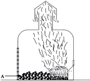 case-study-science-10-ch-13-q-13-i