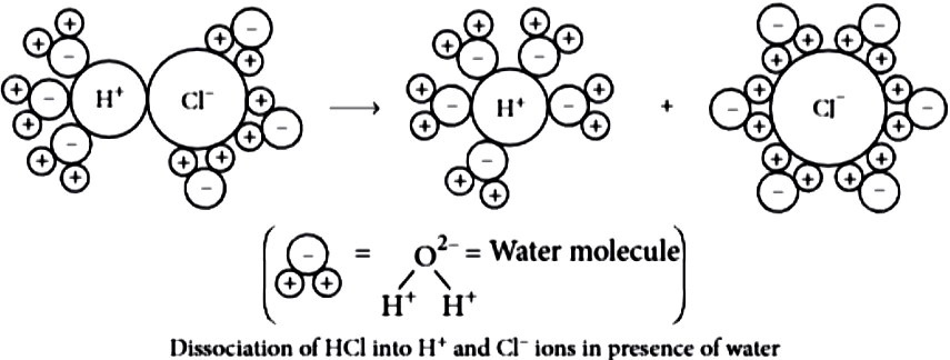case-study-science-10-ch-2-q-6